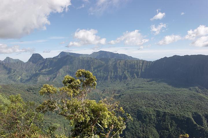Tahiti 23.jpg
